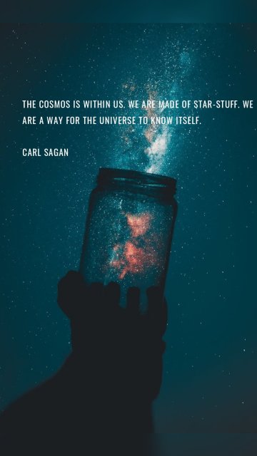 The cosmos is within us. We are made of star-stuff. We are a way for the universe to know itself. Carl Sagan